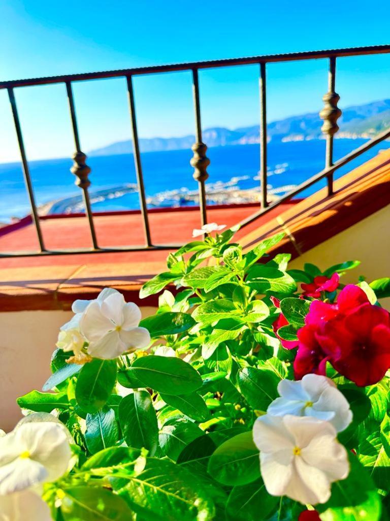 Cala Gonone House Apartment Екстериор снимка